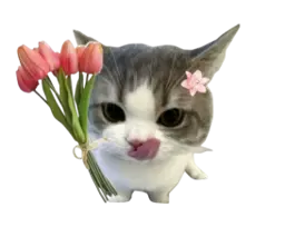 Decorative princess illustration